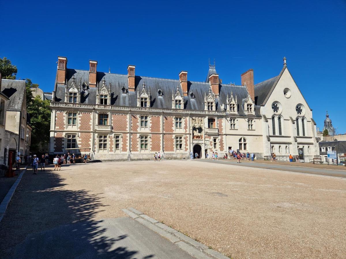 Le Saint Jean Et Son Parking Privee Leilighet Blois Eksteriør bilde